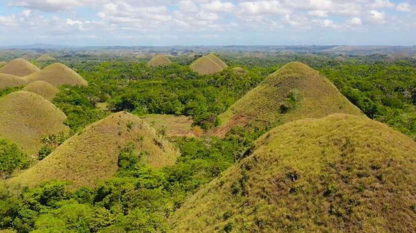 Bohol: Chocolate Hills and Countryside Tour - Who Will Love This Tour?