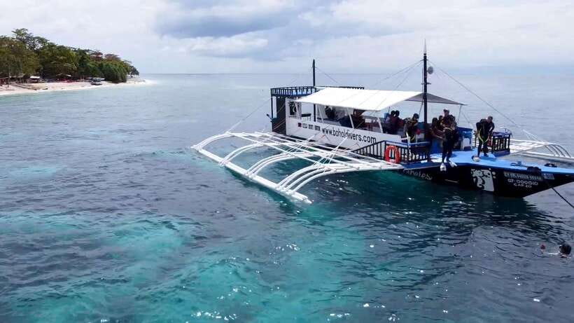 Bohol: Dolphin Watching & Snorkeling at Balicasag Island - The Value and Practicalities