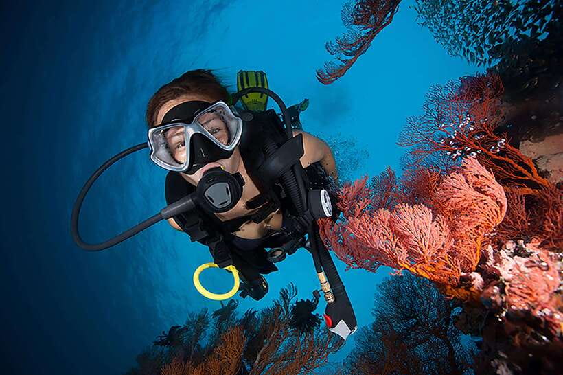 Bohol island: Fun dive local dive - Why This Tour Is a Great Choice