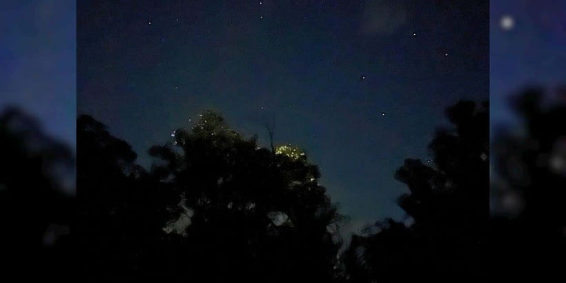 Bohol: Loboc River Firefly Watching Shared Tour - The Sum Up: Is This Tour for You?