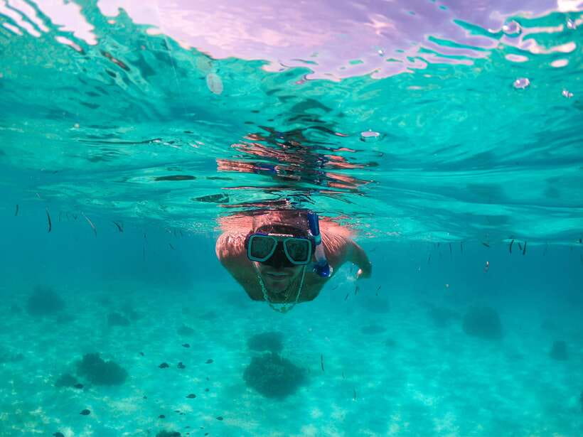 Bohol: Pamilacan Island Dolphin/Turtle Watching Tour & Lunch - Transportation, Group Size, and Price