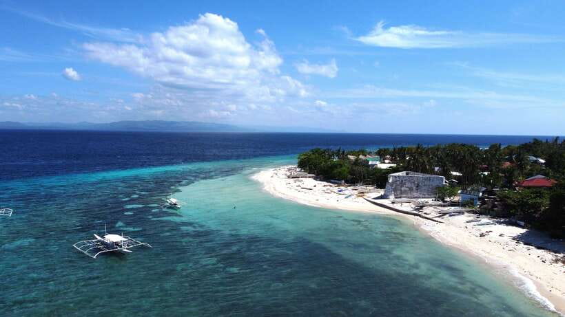 Bohol PAMILACAN Island Turtle & Dolphin Watching - Analyzing the Value