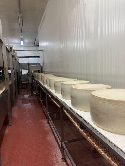 Bologna/Modena: Parmesan,Ferrari, Balsamic,Wine Tour w/Lunch - Practical Tips and Considerations