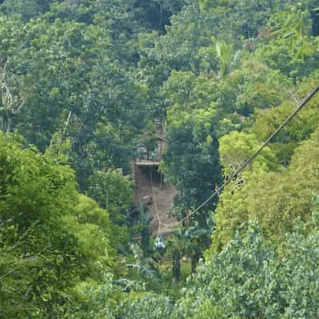 Boracay: Island Hopping with Lunch and Zipline - Who Will Love This Tour?