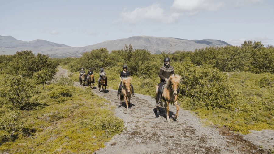 Borgarnes: Horseback Riding Tour with Prep Lesson - What Makes This Tour Stand Out?