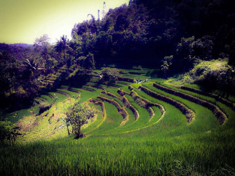 Borobudur Photography Day Tour - Who Will Enjoy This Tour Most?