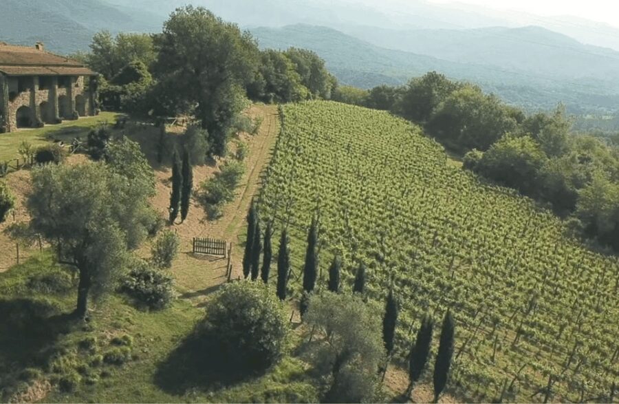 Boutique Winery Tour & Tasting in North Tuscany - Itinerary and Experience
