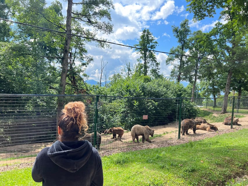 Brasov: Bran Castle, Bear Sanctuary, Rasnov (Peles Optional) - Authenticity and Value for Money