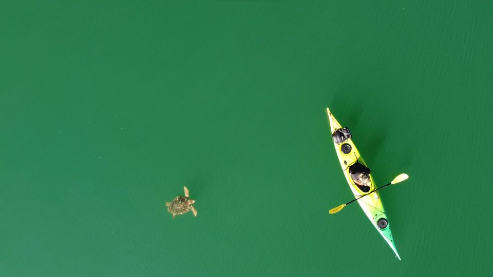 Brindisi: Kayaking at SantAndrea Island & Turtle Watching - Exploring the Bocche Di Puglia Bridge