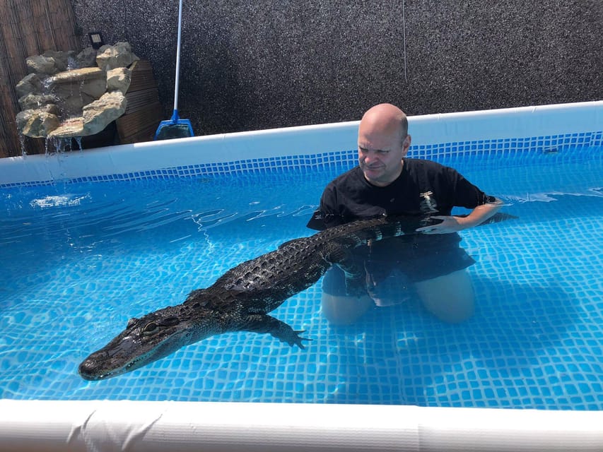 Bristol: Crocodile Swimming Experience with Lunch x2 - Why This Tour Offers Great Value