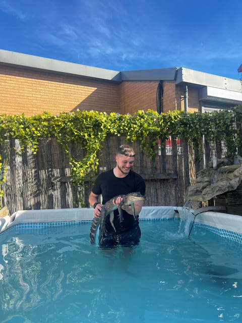 Bristol: Swimming with Crocodiles and Lunch x4 - The Heart of the Experience: Swimming with Crocodiles