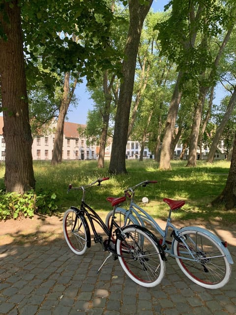Bruges: City Bike Tour with a Local - What to Expect: The Itinerary and Highlights