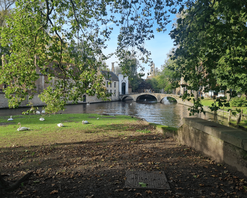 Bruges: highlights & hidden gems - private tour 2 hours - The Value in a Two-Hour Private Tour