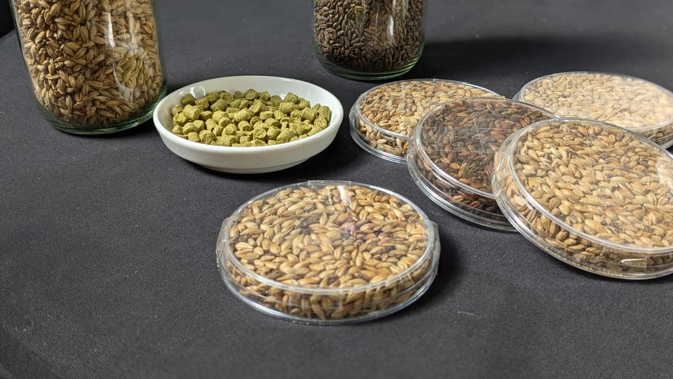Brussels: micro brewery & distillery tour + beer tasting - The Real Value for Travelers