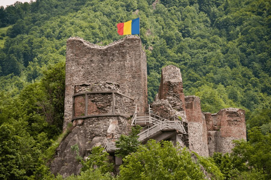 Bucharest: Bears Safari on Top Gear Road Transfagarasan - Key Points