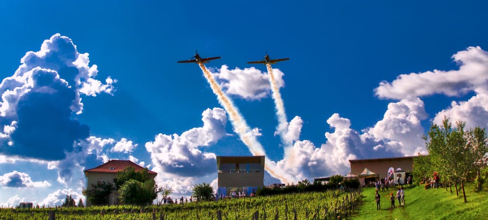 Bucharest: Taste the Magic of Wine in Romanias Tuscany - Budureasca Winery: Where Tradition Meets Innovation