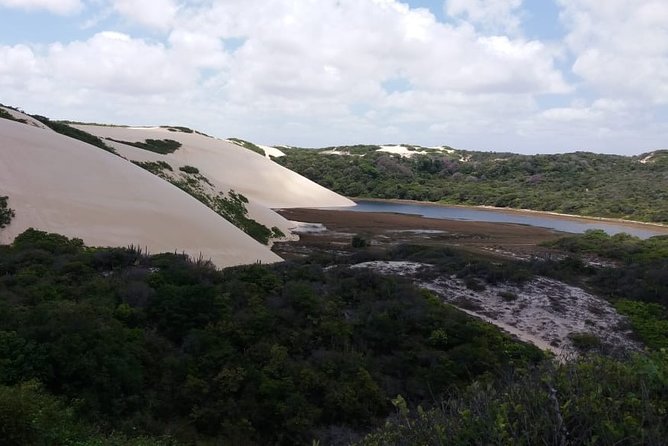 Buggy Tour Along the North Coast (Genipabu) - Pricing and Availability