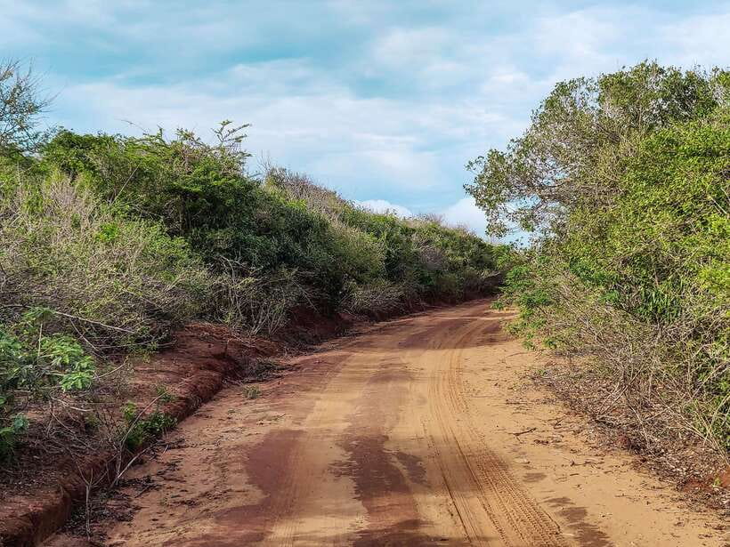 Bundala National Park Safari from Weligama - The Safari Experience: What You’ll See and Do  