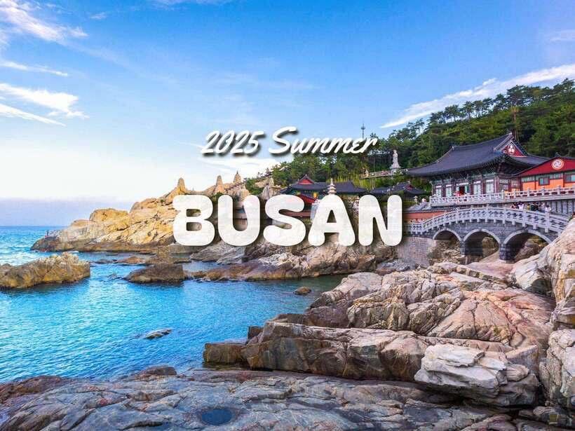 Busan City : Top Attractions One-Day Guided Tour - FAQ
