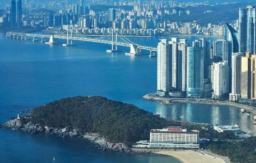 Busan private full day tour by KTX from Seoul - Who Will Love This Tour?