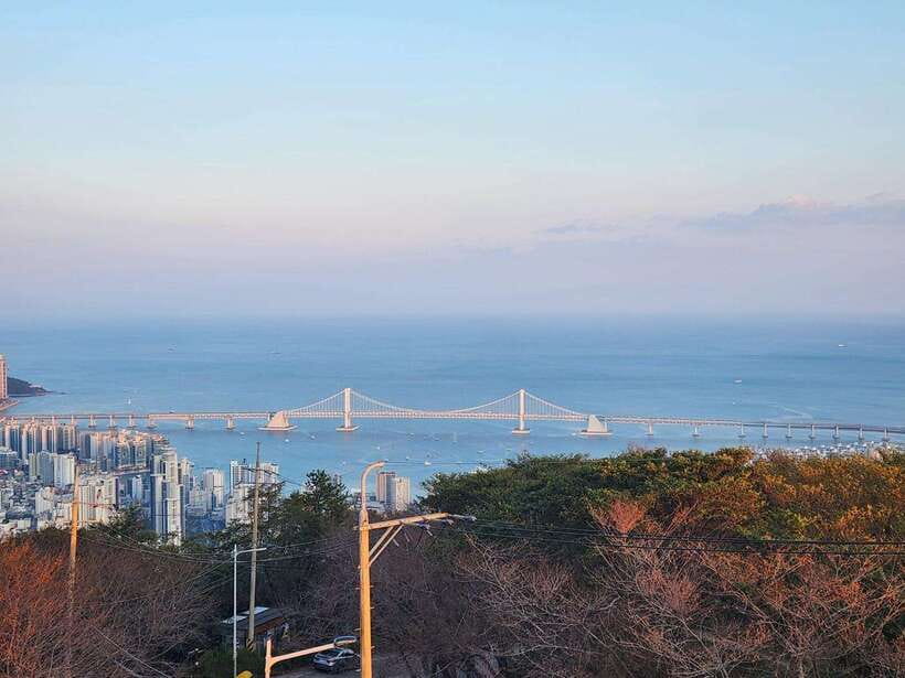 Busan private tour : K-pop dance class + tour - Whats Included & Whats Not