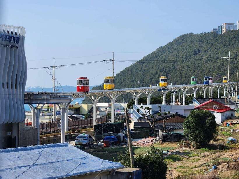 Busan private tour with an official tour guide - The Experience: What Travelers Say