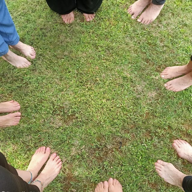 Cagliari: Forest Bathing at Sette Fratelli Park - Experience Details