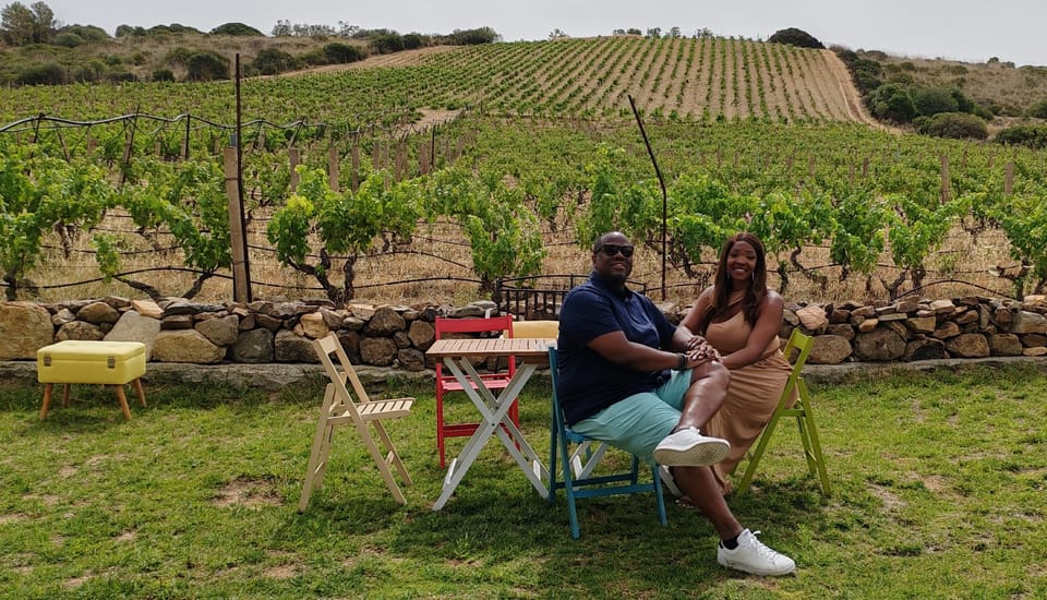 Cagliari: Wine and Olive oil Experience + Oil Mill Museum - Who Will Love This Experience?