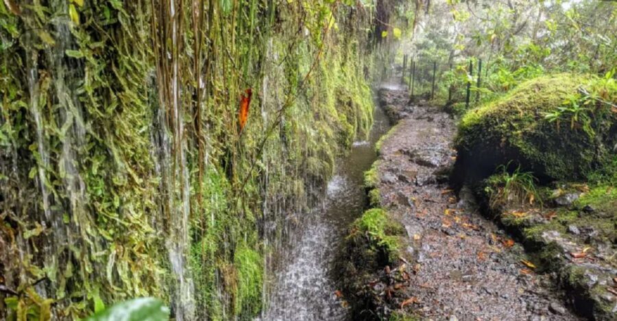 Caldeirão Verde: Queimadas PR9 Transfer and Self-Guided Hike - The Authentic Experience We’re Gaining
