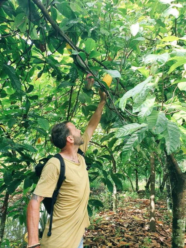 Can Tho: Countryside Cycling Tour With Cocoa Farm Visit - Group Size and Guide Information