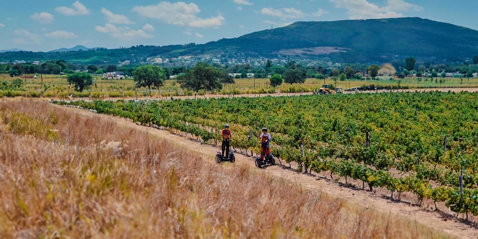 CAPE TOWN: SEGWAY FUN RIDE IN PAARL FREEDOM 301 WITH WILDX - What to Expect from the Segway Adventure