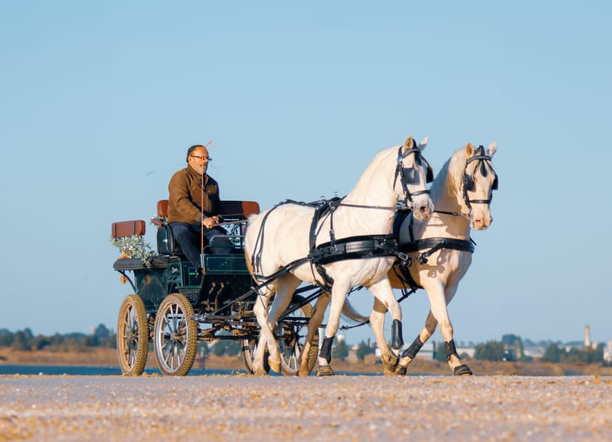 CARRIAGE Ride On The Beach (Rosário Beach) - The Itinerary: What to Expect at Each Stop