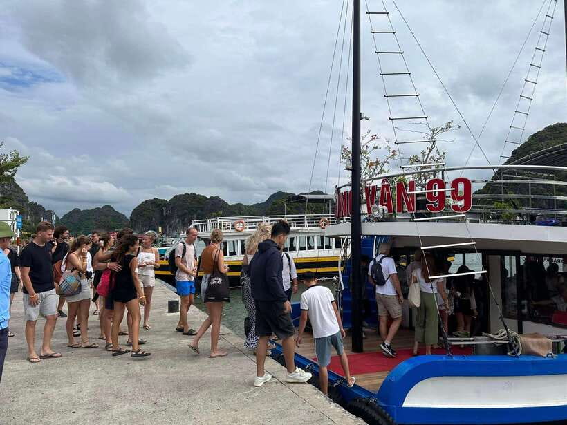 Cat Ba: Full- Day Trip With Biking, Kayaking, Meal, Tickets - Itinerary and Activities