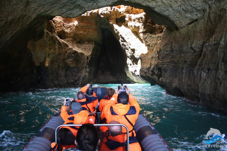 Caves & Dolphins - Combined Trip - The Experience in Detail