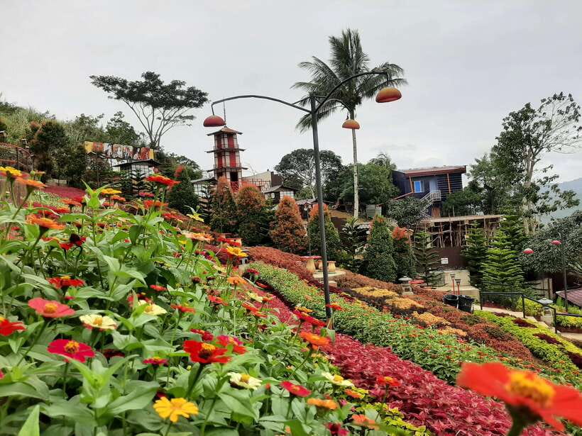 Cebu City: Cultural Heritage Tour & 10,000 Roses Visit - A Taste of History at Fort San Pedro