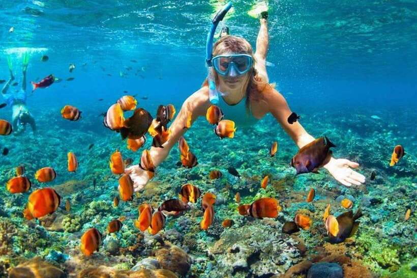 Cebu: Mactan Island Hopping Tour with Snorkeling - What’s Included and What’s Not