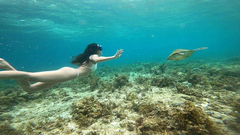 Cebu Moalboal Adventure Combo: Snorkel & Canyoneering +Lunch - Deep Dive into the Details: Why This Tour Works