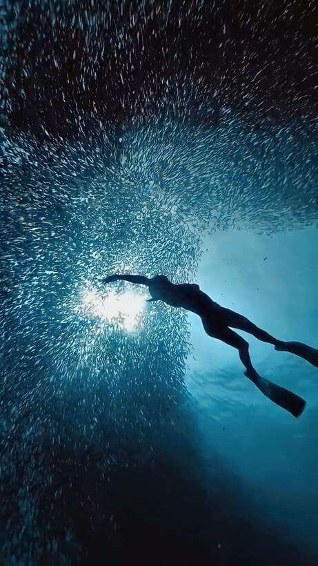 Cebu: Moalboal Sardine Run & Kawasan Falls Canyoneering - Who Will Love This Tour?