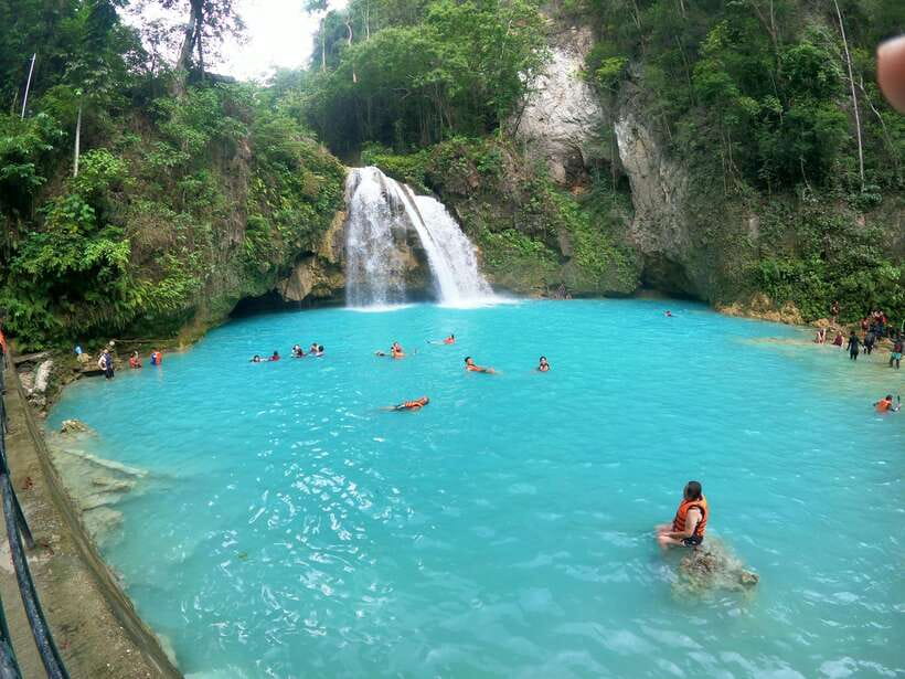 Cebu: Moalboal Sardines Run Snorkel & Kawasan Canyoneering - Full Breakdown of the Experience