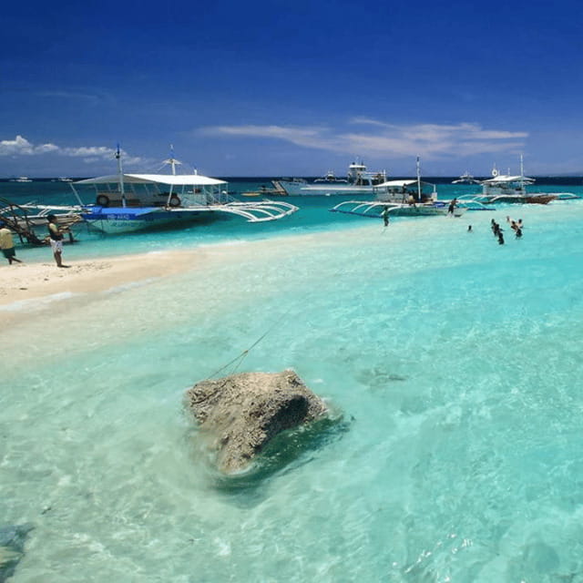 Cebu: Sumilon Isand Whale Shark and Turtle Snorkeling Tour - The Experience Provider and Booking Flexibility  