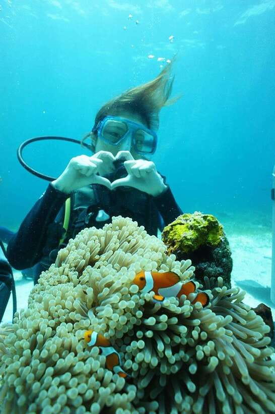 CEBU: Try diving & souvenir underwater photo - The Detailed Itinerary: What Makes Each Stop Special