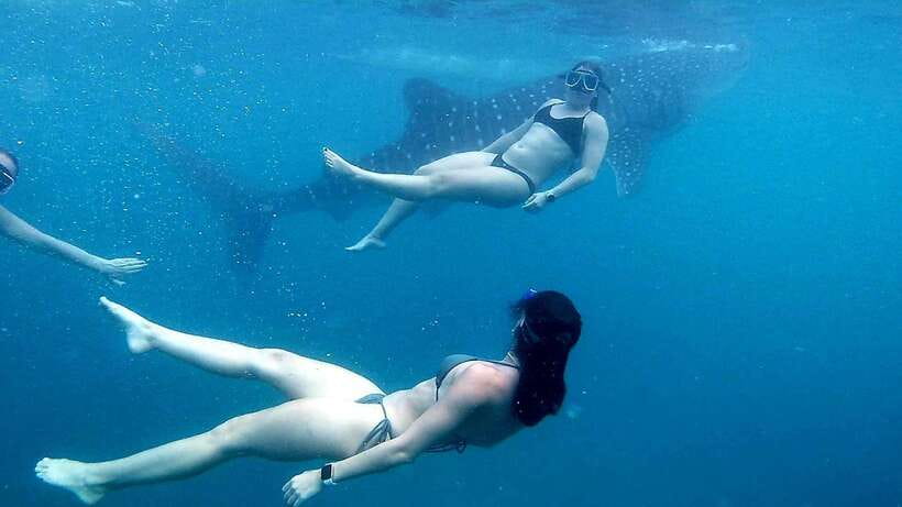 Cebu: Whale Shark, Inambakan Falls & Moalboal Sardine Tour - Refreshing Pause at Inambakan Falls