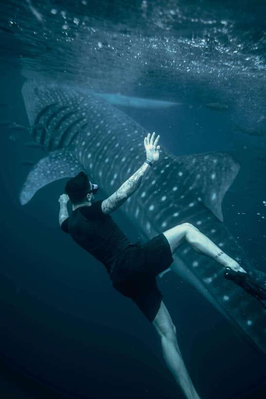 Cebu:Oslob WhaleSharkWatching,Kawasan Canyoneering - The Itinerary: From Marine Wonders to Mountain Canyons