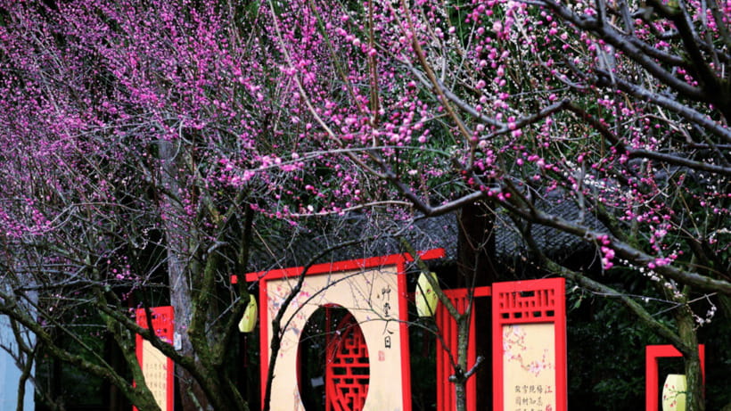 Chengdu: Du Fu Thatched Cottage Poetry Museum - Detailed Exploration of the Tour