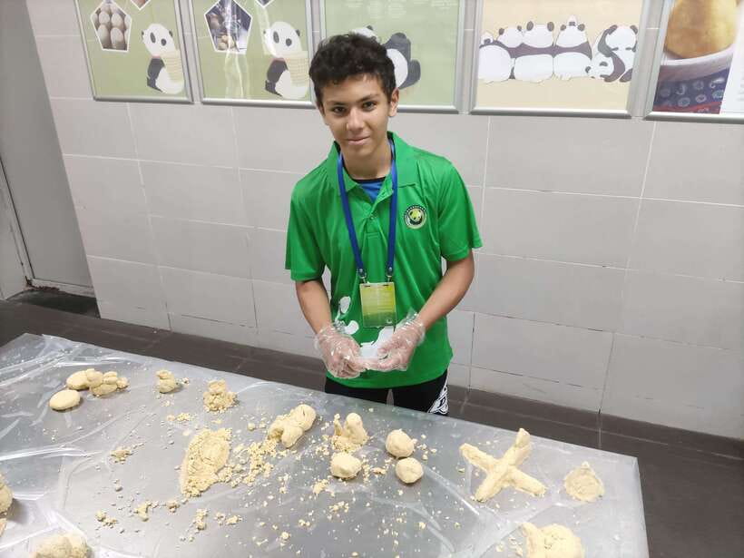 Chengdu: Dujiangyan Panda Volunteer Program with Lunch - What Makes This Tour Stand Out?
