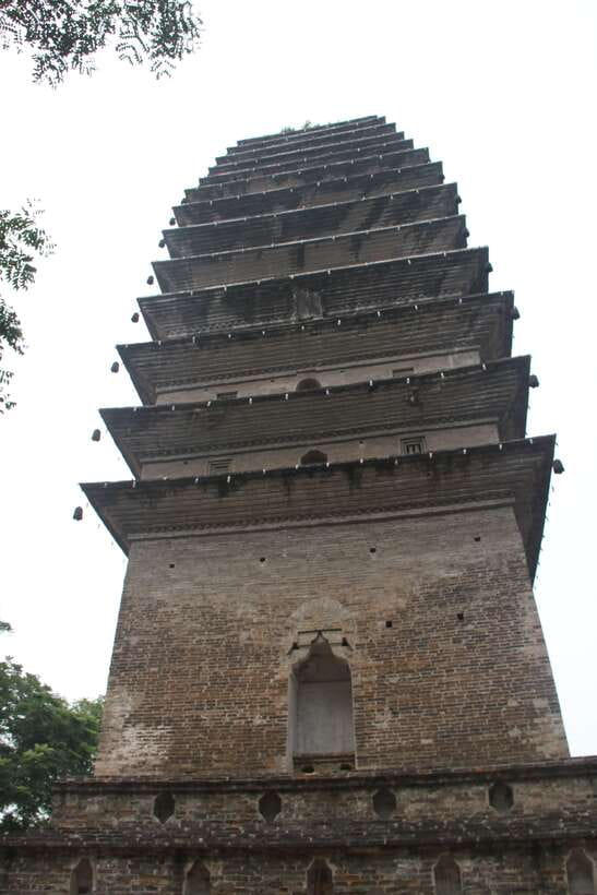 Chengdu: Giant Panda and Leshan Buddha Sall Group Day Tour - Exploring Chengdu’s Highlights
