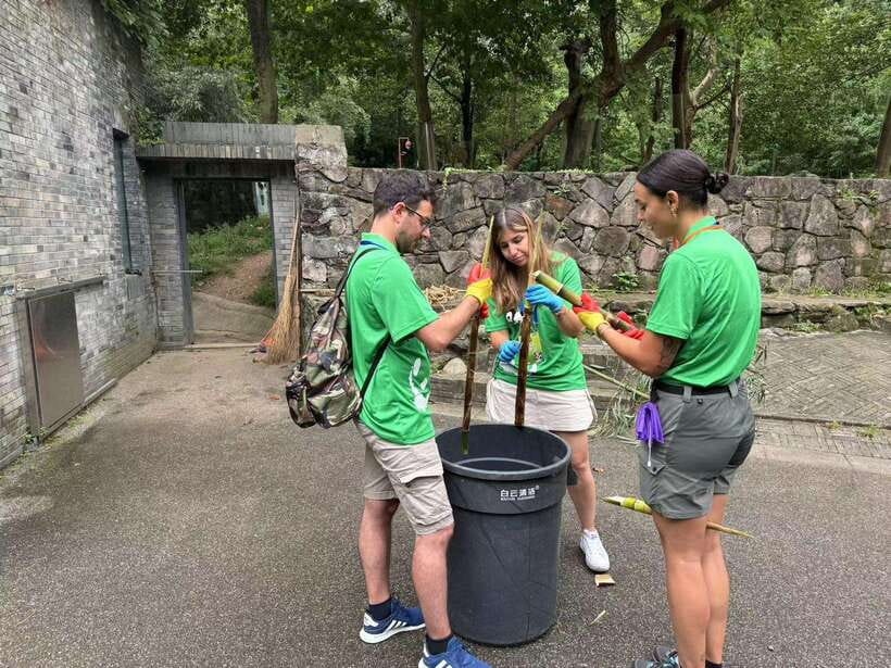Chengdu: Volunteer Day Experience at Dujiangyan Panda base - What You Can Expect: An In-Depth Look