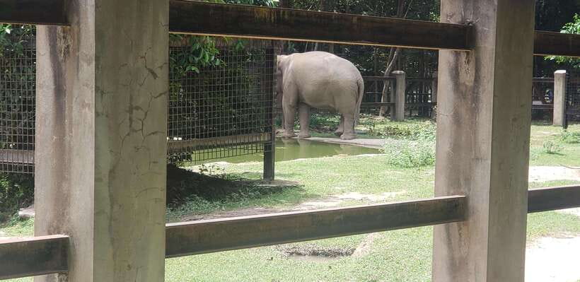 Chi so mountain _ Ta moa zoo_ Bati temple Tour - Wildlife & Conservation at Ta Moa Zoo