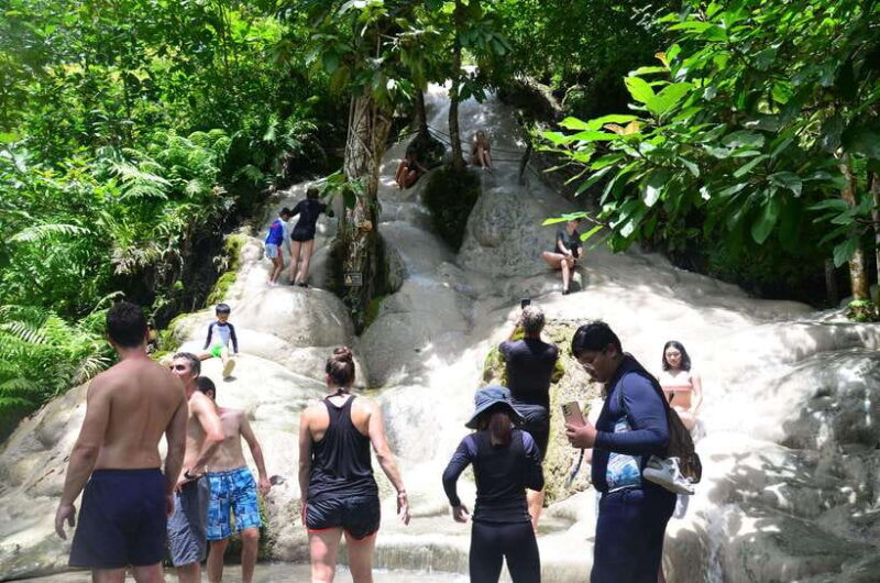 Chiang Mai: 4-Hour Sticky Waterfall Private Tour - Highlights and Experience