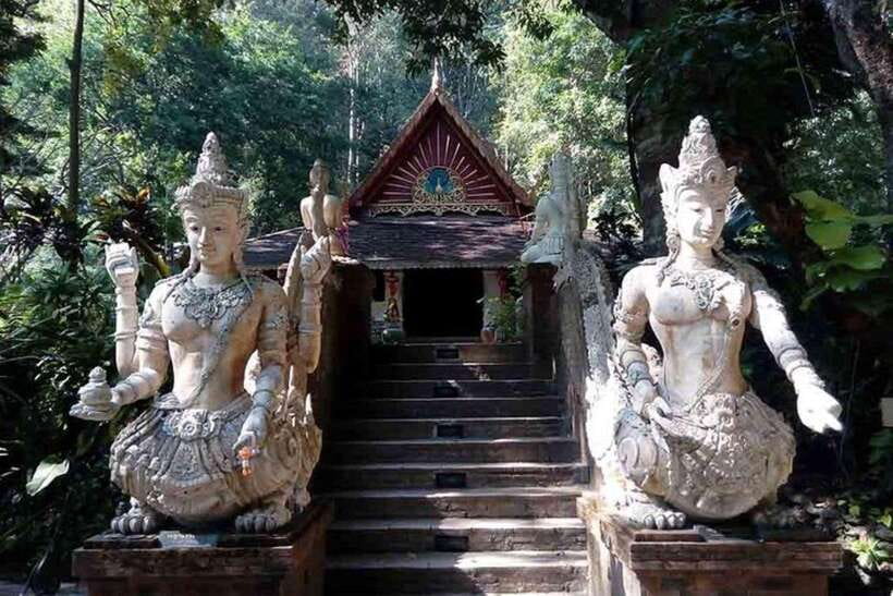 Chiang Mai: Doi Suthep, Orchid Farm and Waterfall With Lunch - Itinerary Highlights